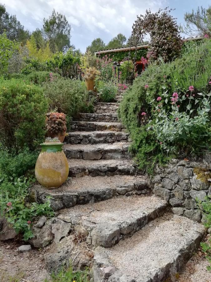 Chambre D'Hote Le Mas Des Romarins Les Arcs-sur-Argens エクステリア 写真