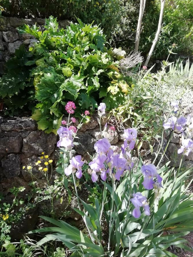 Chambre D'Hote Le Mas Des Romarins Les Arcs-sur-Argens エクステリア 写真